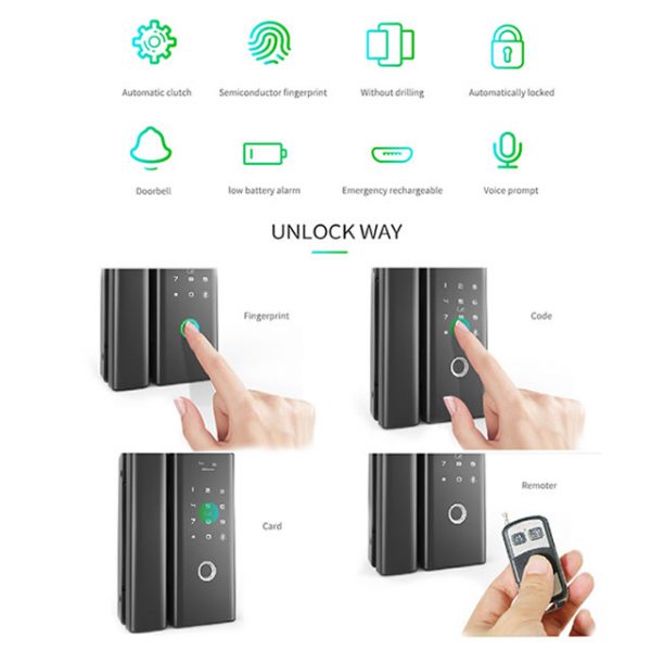 Smart biometric fingerprint digital glass door lock