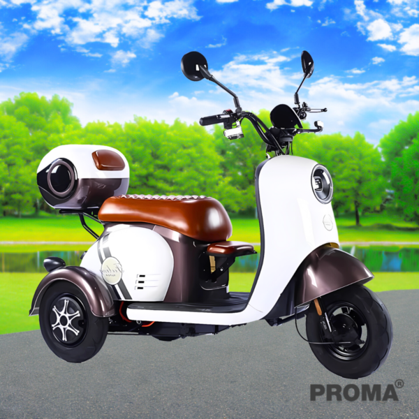 Large 3-wheel electric motorcycle Cute Style 