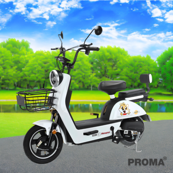 2 wheel electric scooter bicycle