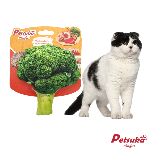 Broccoli Petsuka Chew Squeaker Pet Toy
