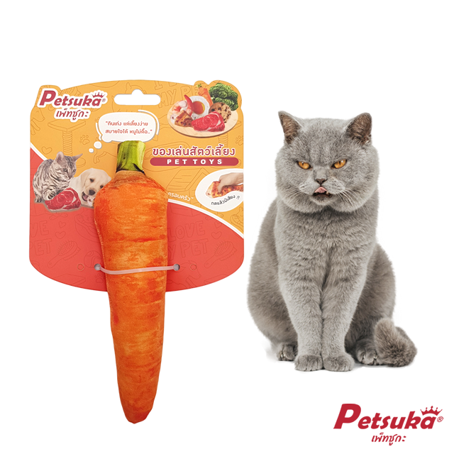 Carrot Petsuka Chew Squeaker Pet Toy