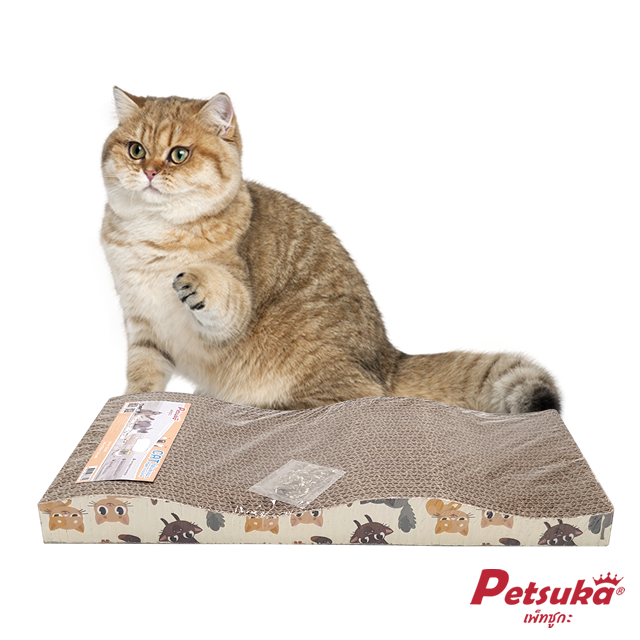 Wave Shape Cat Scratcher Cartoon Pattern