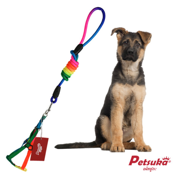 Pet Leash With Harness Petsuka (Rainbow)