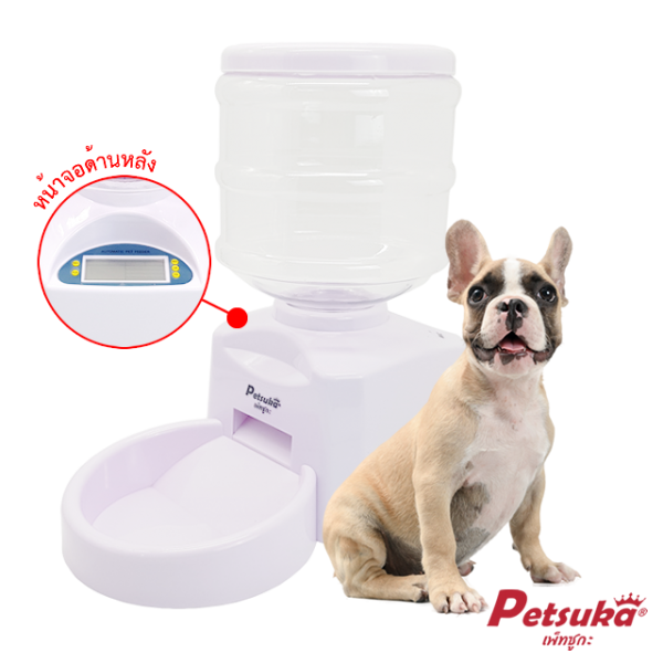 Timer pet water feeder Petsuka 4L