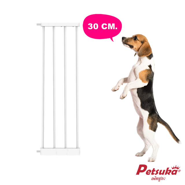 Gate Extension Part-Walkway Ladder Multipurpose Petsuka size 30 cm.