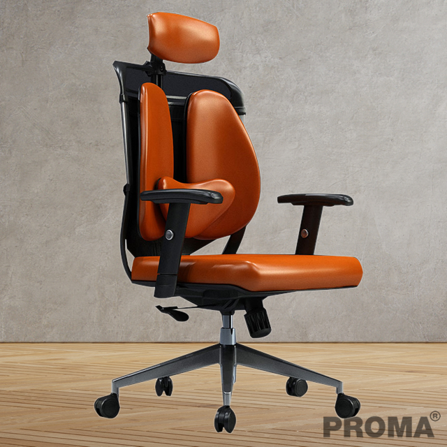 Comfortable High Back Luxury Leather Executive Office Chair Proma-C-19