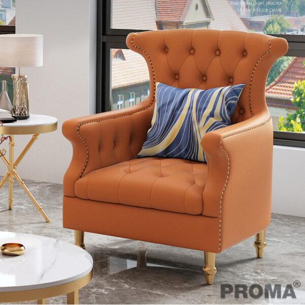 Modern Luxury Leisure Leather Single Seat Sofa Chair Proma-C-46