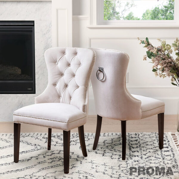 Modern Luxury Velvet Dining Table Chair Proma-C-02