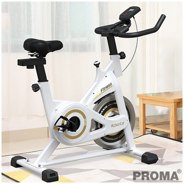 Indoor Fitness Spinning Bike Weight Loss Gym Equipment