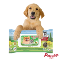 ¡ӤҴѵ§ Petsuka 85  PAP-P01
